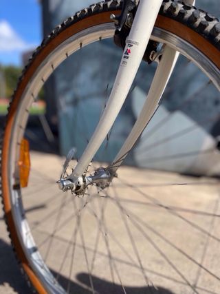 Bicicleta de montaña