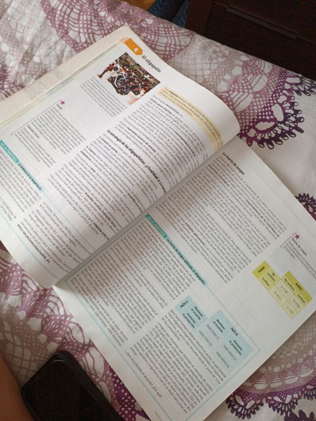 Libro economía 1 bachillerato