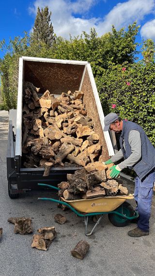 Olivo para chimenea  Firewood home delibery