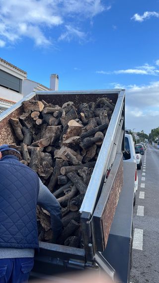 Olivo para chimenea  Firewood home delibery