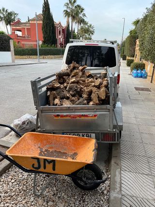 Olivo para chimenea  Firewood home delibery