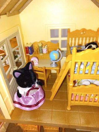 Casa Sylvanian