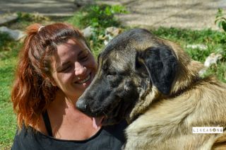 Sesión de fotos para tu mascota