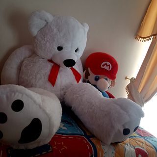 orso gigante