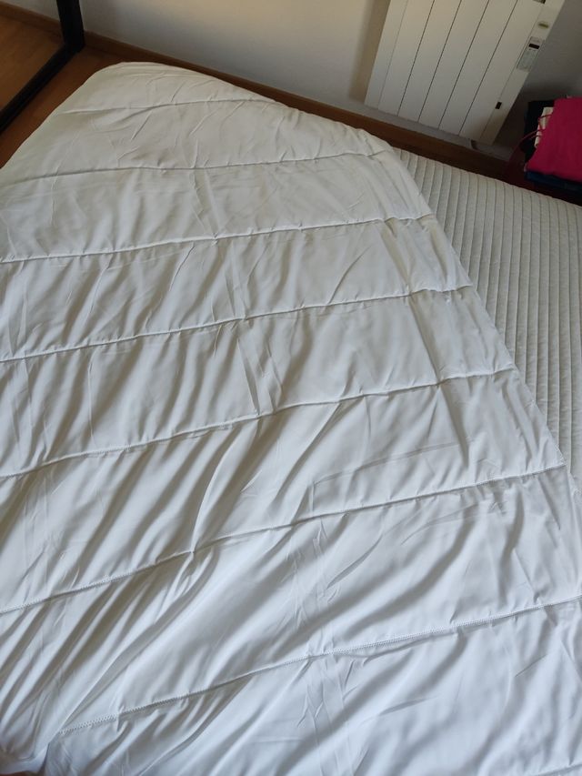 Reyeno nordico fino de verano