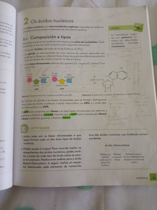Bioloxia e xeoloxia 4 eso