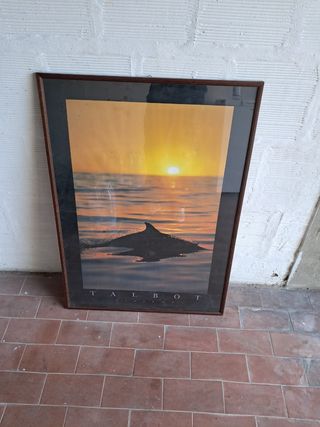 Quadro 
