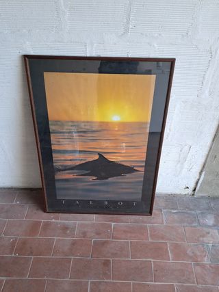 Quadro 