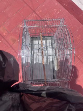 Jaula ninfa, inseparable, cotorra...