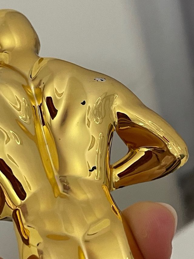 Premio Oscar Flying Tiger