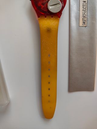 Swatch Tedophorus GR111