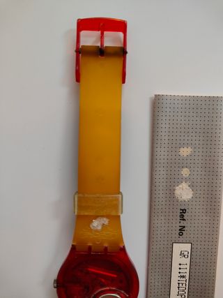 Swatch Tedophorus GR111