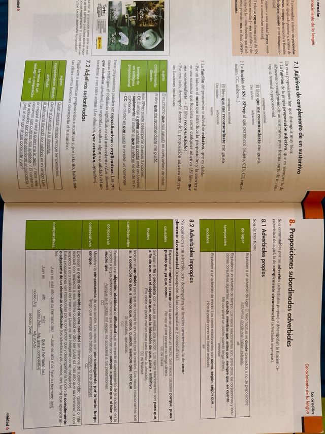 Lengua castellana y literatura 1