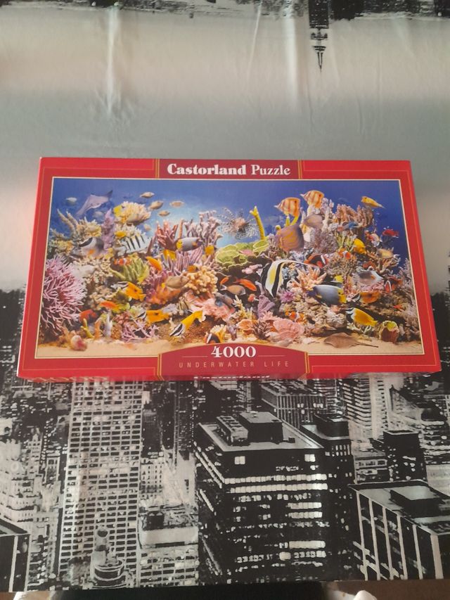 Puzzle vida submarina 4000