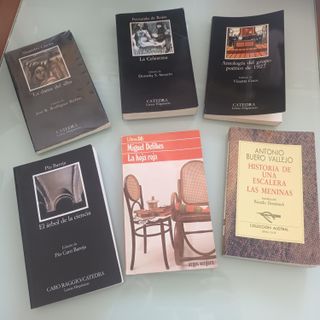 LITERATURA CLÁSICA ESPAÑOLA. 6 Libros