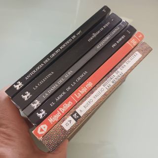 LITERATURA CLÁSICA ESPAÑOLA. 6 Libros