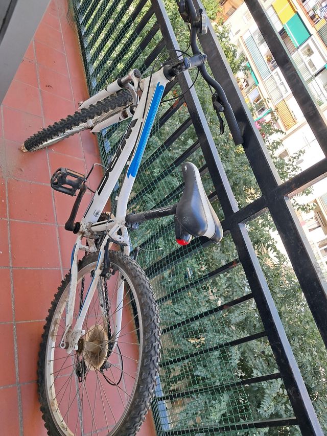 Bicicleta niña