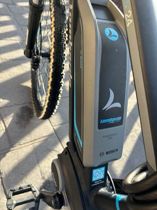 Ebike Bicicletta elettrica 24" Lombardo