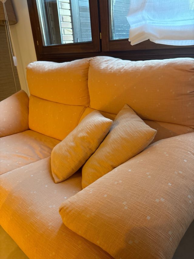 Sofá dos plazas cojines incluidos