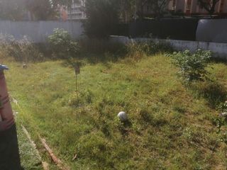 Limpieza de parcelas desbroces 