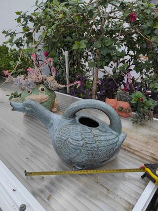 Maceta, regadera, decoración jardín , florero