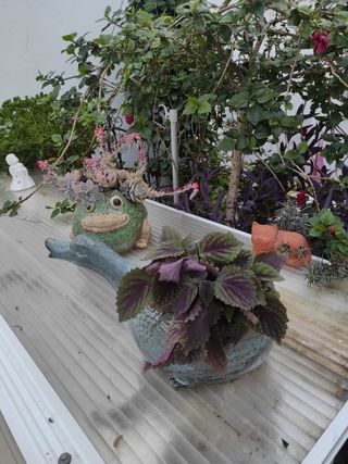 Maceta, regadera, decoración jardín , florero