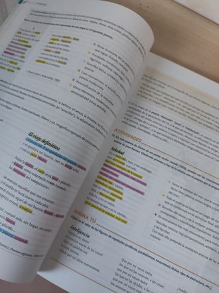 Lengua castellana y Literatura 2