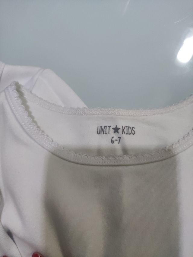 Camisetas algodón 100x 100