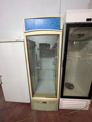 631213000 deja wasap congelador industrial de cr