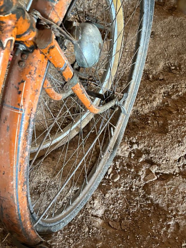 Bicicleta antigua super cill