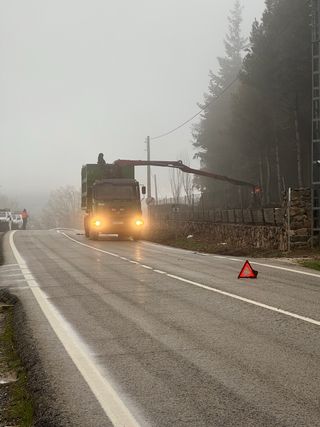 Tala y poda en altura