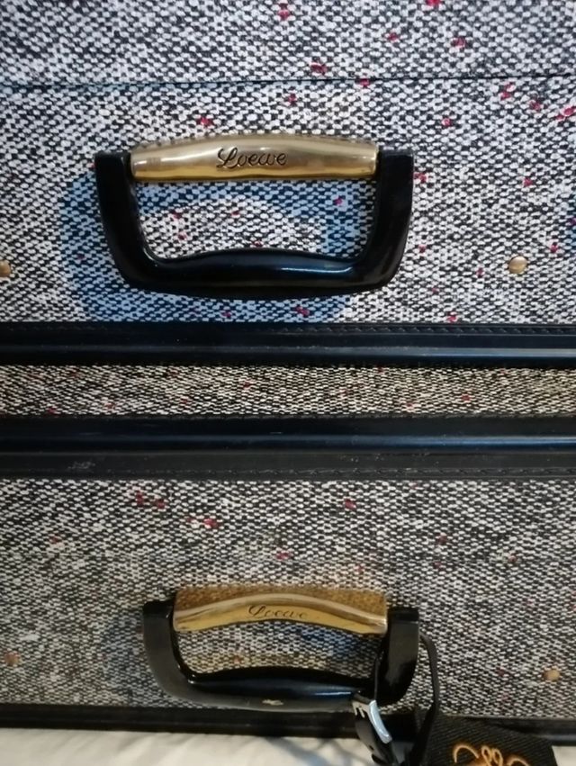 Antiguas maletas Loewe