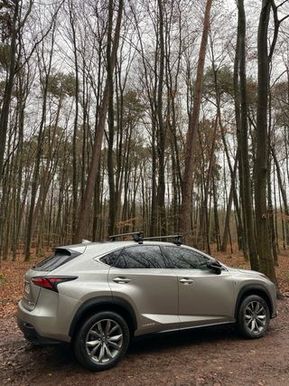 Lexus NX 2016