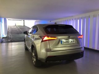 Lexus NX300h FSport
