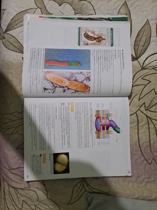 Biología 2 bachillerato 9780190502683