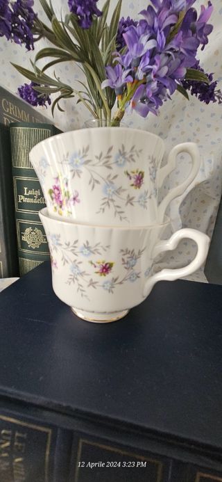 Set di due tazze da tea Salisbury