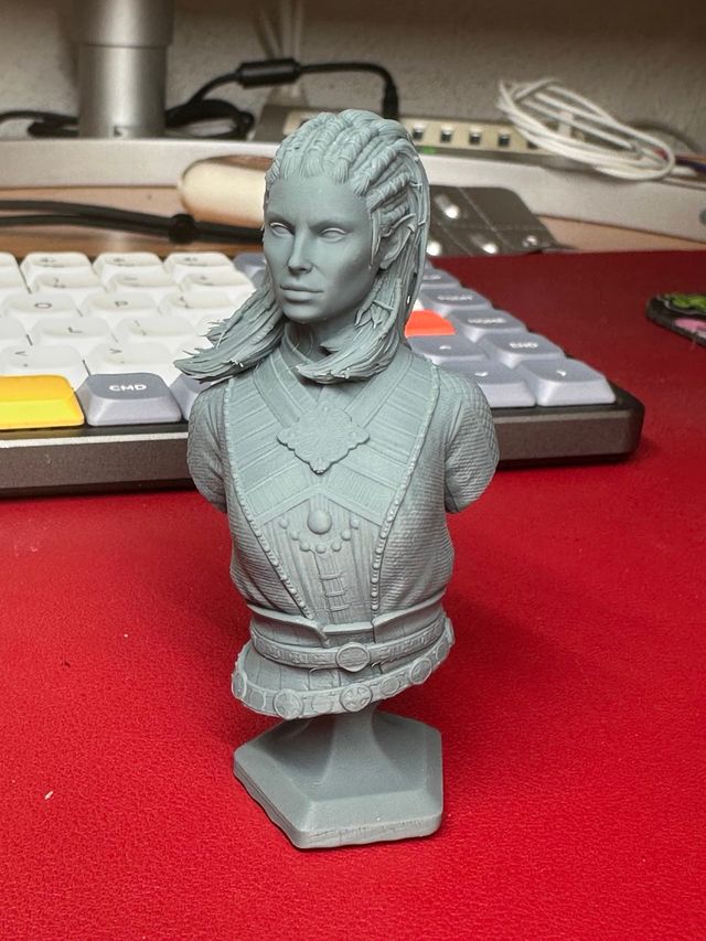 Busto Jaheira - Baldurs Gate 3 - Resina