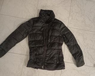 Pluma, Massimo Dutti,M