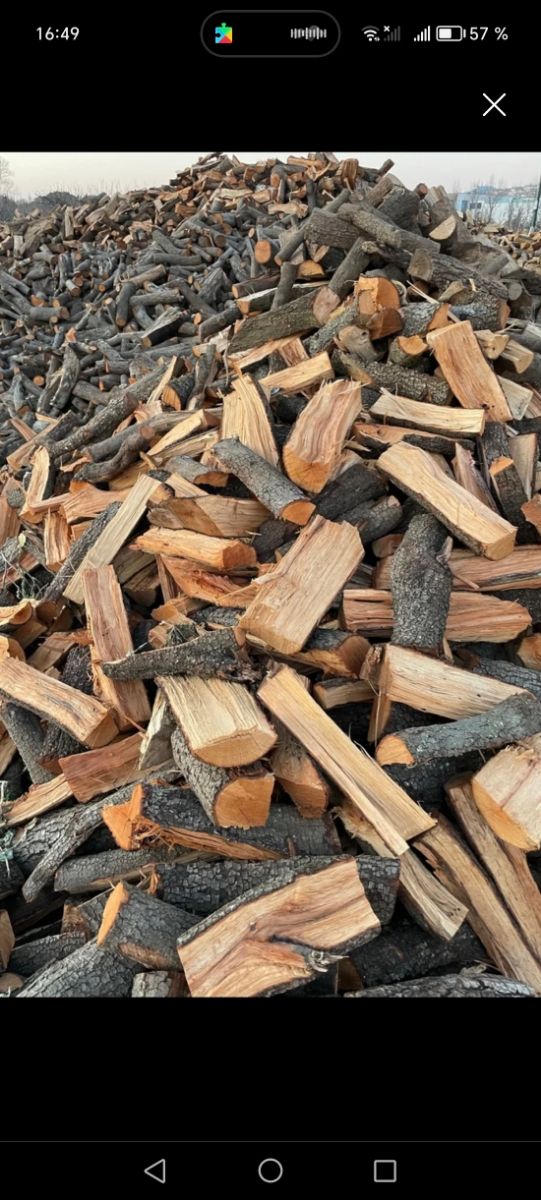 Llenya de Anzena I robles