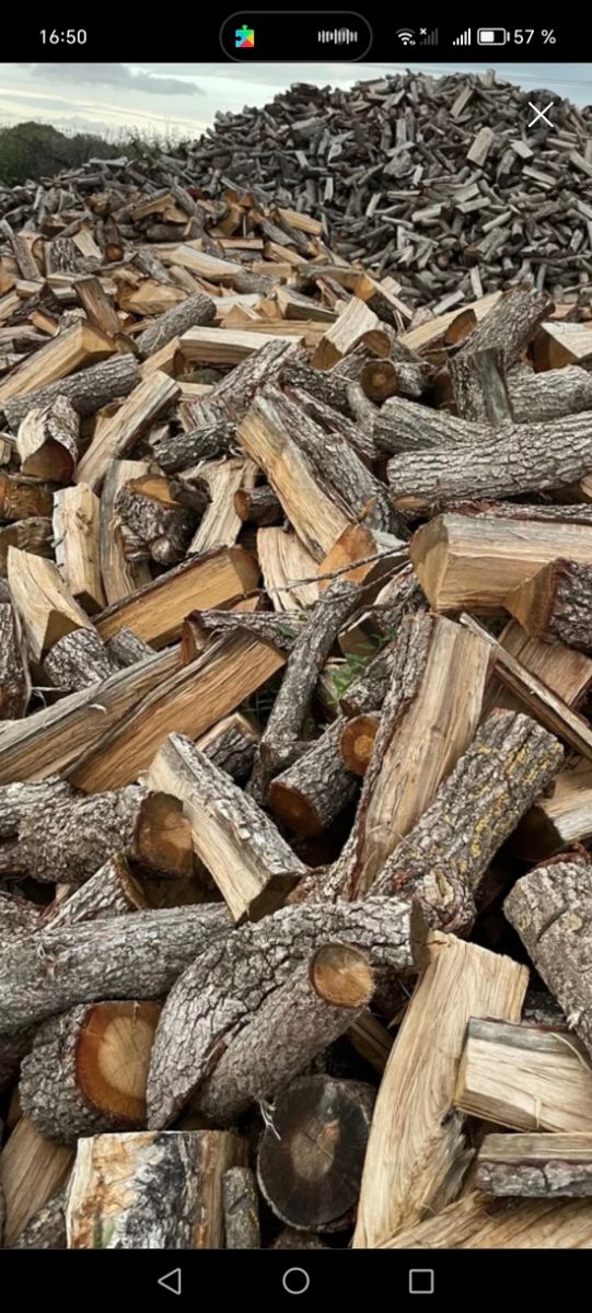 Llenya de Anzena I robles