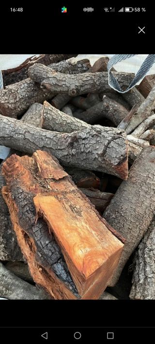 Llenya de Anzena I robles