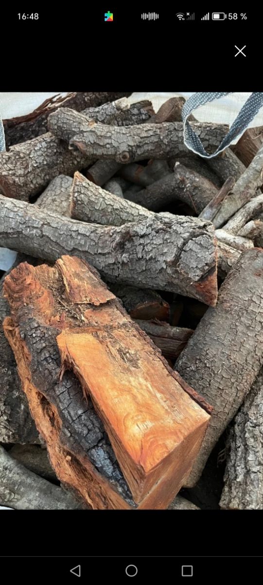 Llenya de Anzena I robles