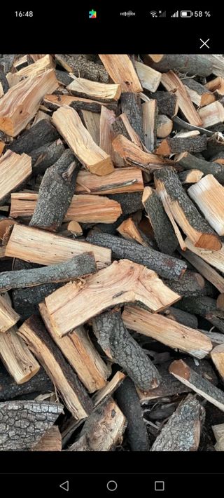 Llenya de Anzena I robles