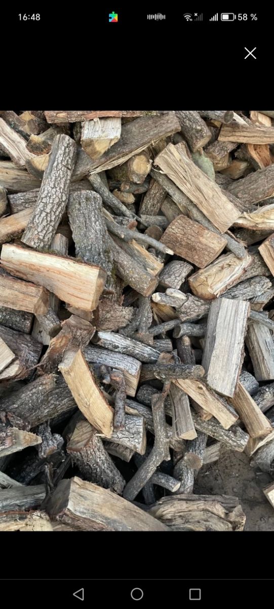 Llenya de Anzena I robles