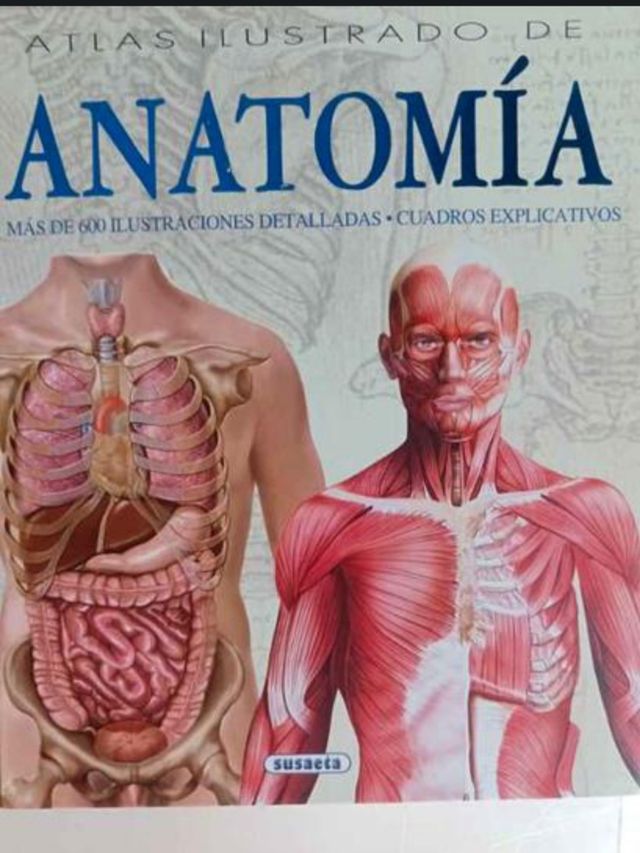 ATLAS ILUSTŔADO DE ANATOMIA