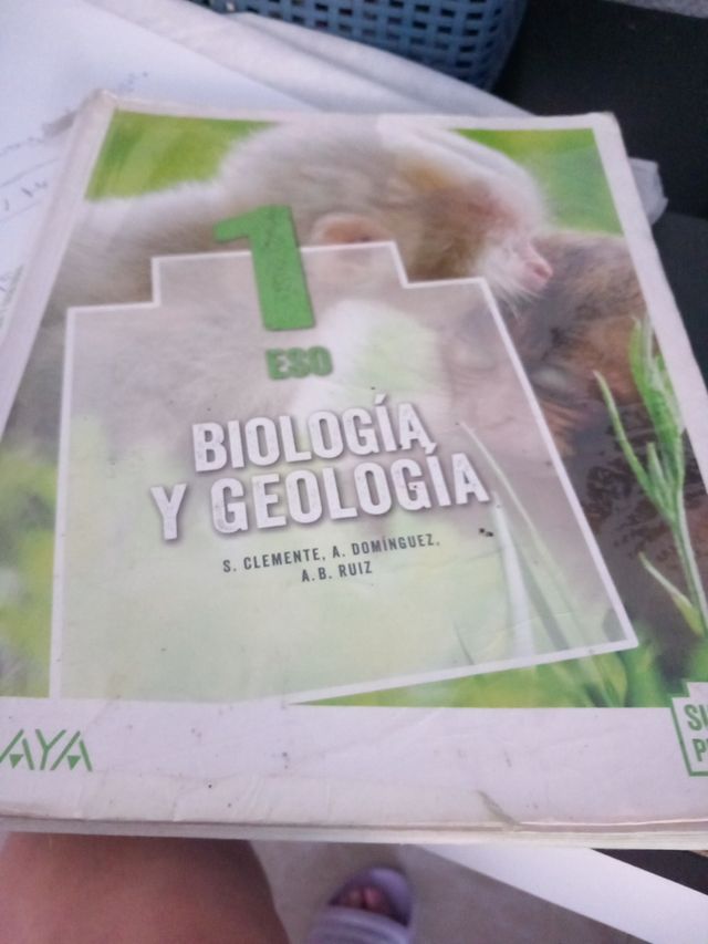 Libro de estudio
