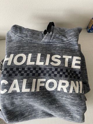 Sudadera Hollister