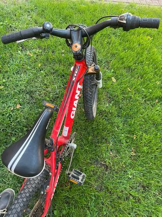 Bicicleta Giant 20” niños