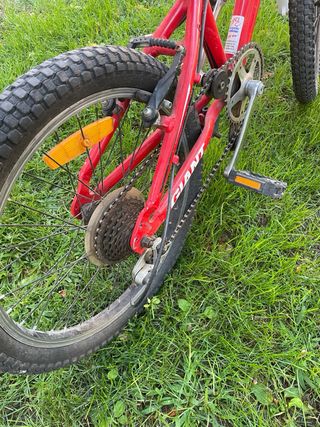 Bicicleta Giant 20” niños