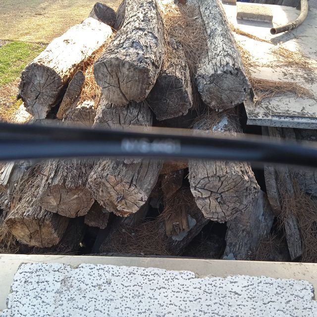 Gafas de sol arnette